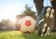 AJF Maramureș:  Luni se distribuie echipamentul sportiv