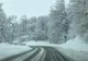În zona montană înaltă, la altitudini de peste 1200 de metri, a nins