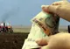 Bani pentru fermierii maramureșeni