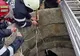 Femeie care a sustras o sumă de bani dintr-o locuinţă, prinsă de poliţiştii din Tăuţii Măgherăuş la scurt timp de la comiterea faptei