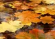 Prognoza meteo a fost revizuită. Schimbări majore: cum va fi vremea până pe 2 decembrie