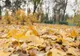 Cum va fi vremea astăzi în Maramureș