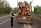 Hoț de lemne din Maramureș, prins la furat în județul Satu Mare