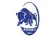 Rugby Europe Championship 2020: Cinci zimbri la prima reprezentativă