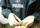 Maramureșean cercetat pentru trafic de droguri de risc