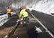 Mai mulți copaci s-au prăbușit astăzi pe DN 18 în Pasul Gutâi din cauza vântului
