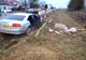 Țigări în valoare de peste 52.000 lei, confiscate la frontiera de nord a României