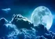 Fenomen spectaculos pe cer: prima SUPER LUNĂ din 2020