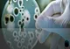 BILANȚ OFICIAL: Coronavirus – România: 29 de cazuri noi