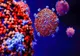 Lista actualizată a ţărilor cu peste 500 de cazuri de coronavirus