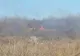 13 incendii în 24 de ore în Maramureș