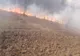 ( FOTO ) Incendiu de vegetație uscată în Ieud. Focul se apropie de case