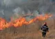 ARDERI NECONTROLATE: Ce amenzi riscă cei care provoacă incendii de vegetație uscată