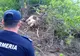 Dan Barna: Victorie pentru mediu! Camera Deputaţilor a votat pentru înfiinţarea DNA-ul pădurilor