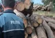 MARAMUREȘ: Controale pe drumurile publice pentru prevenirea şi combaterea faptelor ilicite la regimul silvic