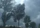 Cod galben de ploi și vijelii în Maramureș