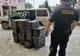Aproximativ 10.000 pachete cu țigări confiscate la granița de nord a României 
