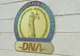 Maramureșeancă, trimisă în judecată de DNA, pentru obținere pe nedrept de fonduri rambursabile