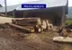 Material lemnos confiscat în Vişeu de Sus