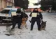 FOTO | Felictari pentru doi agenţi din cadrul Grupei Canine IPJ Maramureş