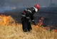 6 incendii în Maramureş în acest weekend