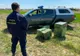 Țigări de contrabandă de circa 94.000 lei, confiscate de polițiștii de frontieră din Maramureș 