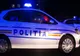 Trofeu - cap de căprior - confiscat de poliţiştii maramureşeni