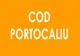 Mai multe localități din Bistrița-Năsăud și Maramureș, sub  COD PORTOCALIU  de averse torențiale