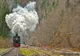 Maramureş: O mocăniţă cu peste 150 de turişti a deraiat