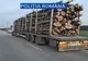 Controale silvice în judeţul Maramureş! Oamenii legii au aplicat amenzi şi au confiscat material lemnos
