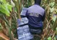 Ţigări de contrabandă în valoare de aproximativ 408.000 lei confiscate la frontiera de nord (FOTO)