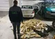 Țigări de contrabandă în valoare de peste 100.000 lei, confiscate la granița de nord