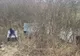 Țigări de contrabandă în valoare de peste 58.000 lei, confiscate la frontiera de nord (FOTO)