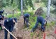IJJ Maramureș: Plantăm pentru viitor, pentru că ne pasă de mediul în care trăim
