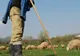 Maramureș: Un cioban dispărut de 4 zile a fost găsit mort într-o râpă