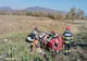 AUTOTURISM LOVIT DE TREN LÂNGĂ SĂSAR; DOUĂ PERSOANE ÎN STOP CARDIO-RESPIRATOR