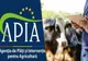APIA A AUTORIZAT LA PLATĂ, ÎN ULTIMA LUNĂ, APROAPE 323 DE MILIOANE EURO, PENTRU 636.065 FERMIERI