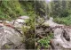 Alerte de posibile inundații pe râuri din Maramureş, Crișana, Banat şi Oltenia