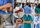 Grevă în peste 500 de spitale din țară, luni. Revoltă față de noua lege a salarizării, medicii își întrerup activitatea timp de două ore