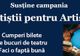 Teatrul Municipal Baia Mare susține campania socială „Artiștii pentru artiști"