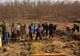 Jandarmii au plantat 6000 de copaci