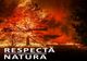 IGSU: Cu incendiile de vegetație nu e de joacă! Respectă natura