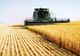 Ministrul Agriculturii spune că România are destule stocuri de cereale și nu va opri exporturile